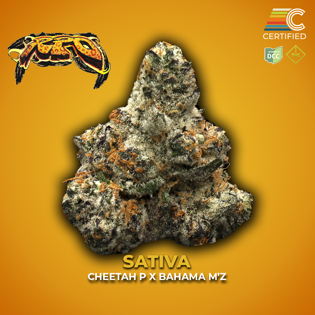 Sour Tangie Strain | Sativa Cannabis Flower | CERTIFIED